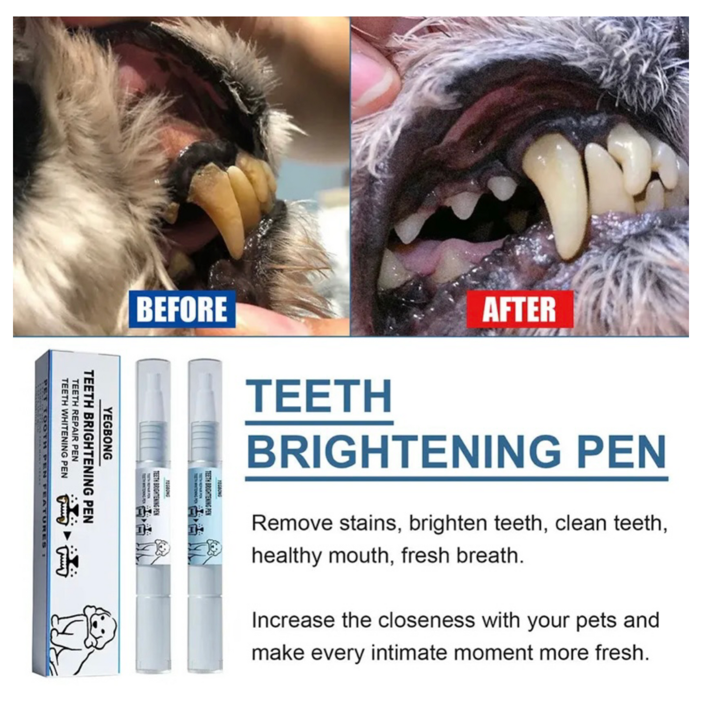 Pet Toothbrush Pen