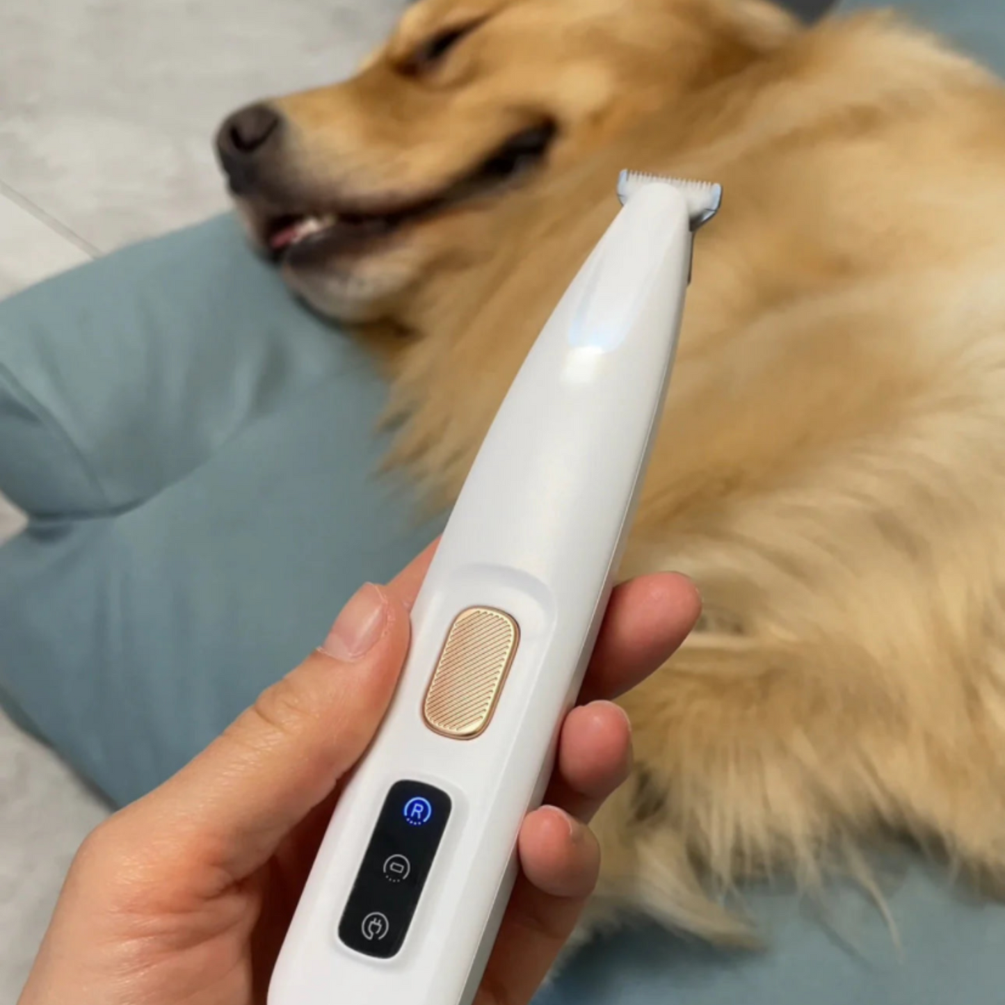 Pet Hair Trimmer